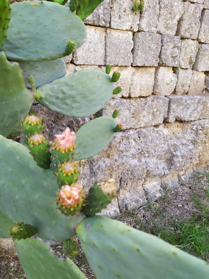 Casina Nel Salento Apartamento Lecce Exterior foto